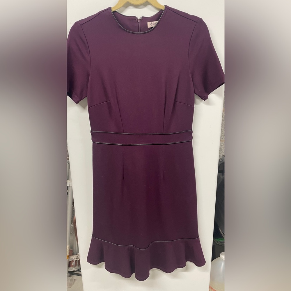 Plum dress with A-line waist and ruffle trim.